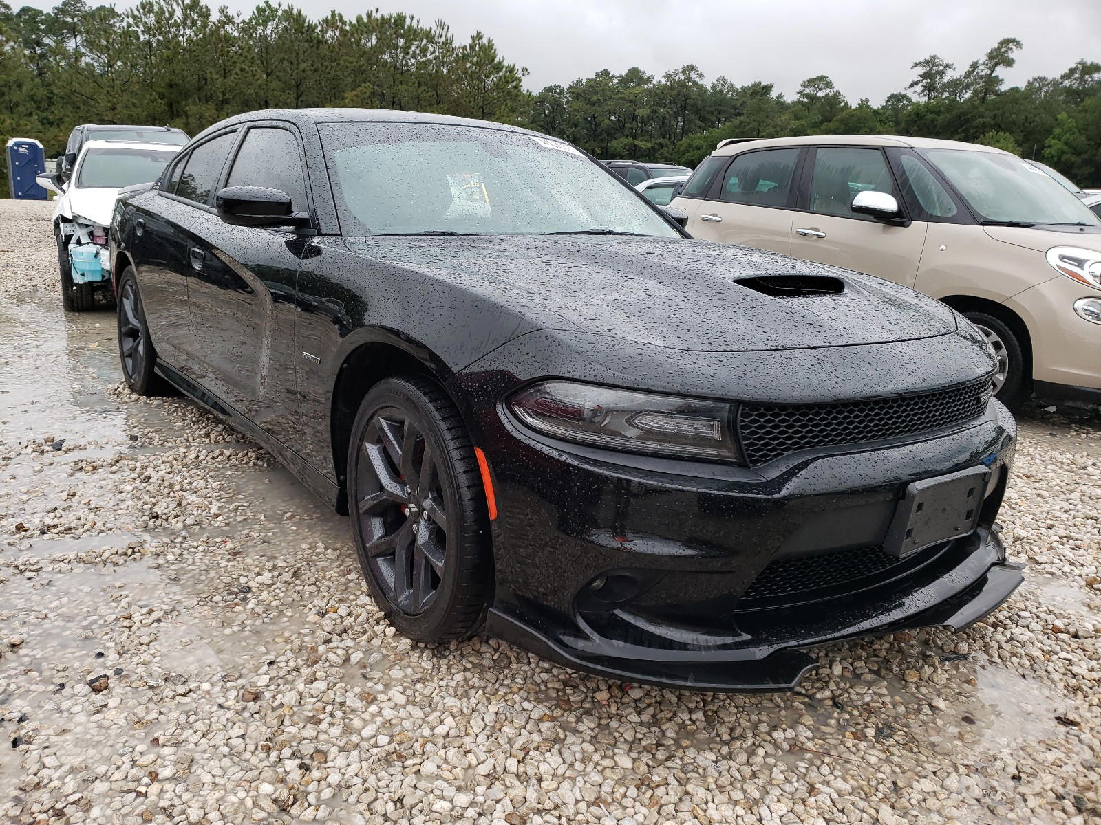 DODGE CHARGER R/ 2019 with VIN 2C3CDXCT8KH572436 - Photo from auction