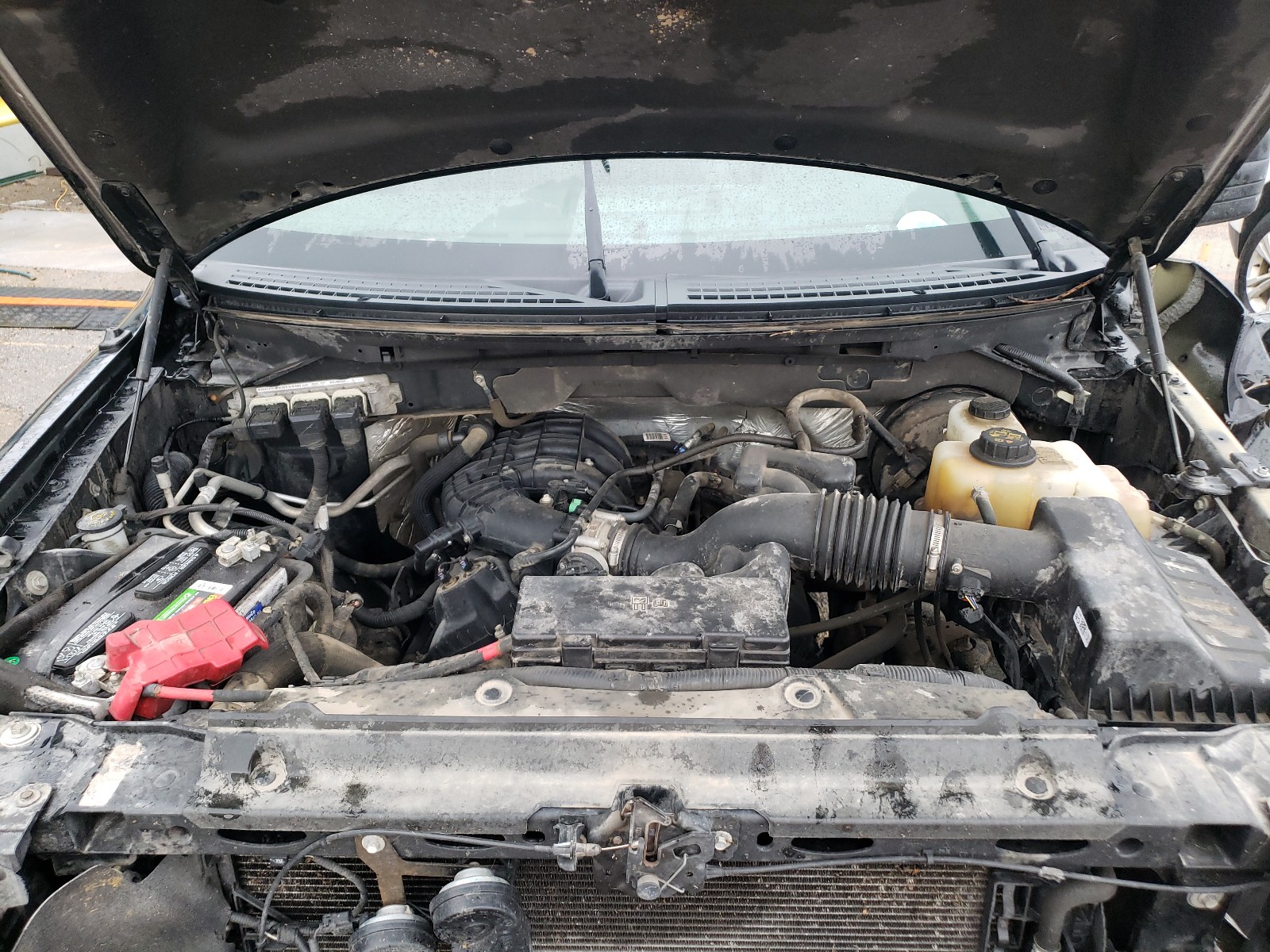 Photo 7 from auction – 2013 FORD F150 SUPER with VIN 1FTEW1CM7DKG27569