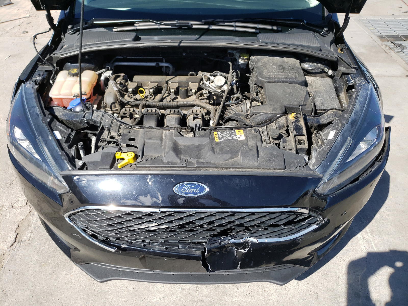 Photo 7 from auction – 2016 FORD FOCUS SE with VIN 1FADP3F26GL354806