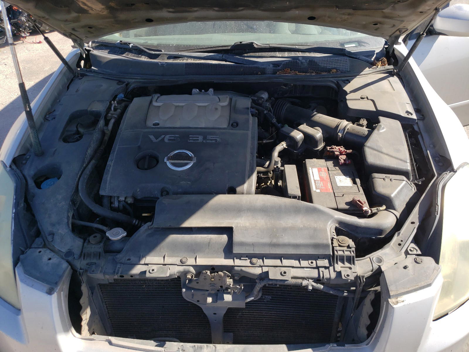 Photo 7 from auction – 2004 NISSAN MAXIMA SE with VIN 1N4BA41E74C840830