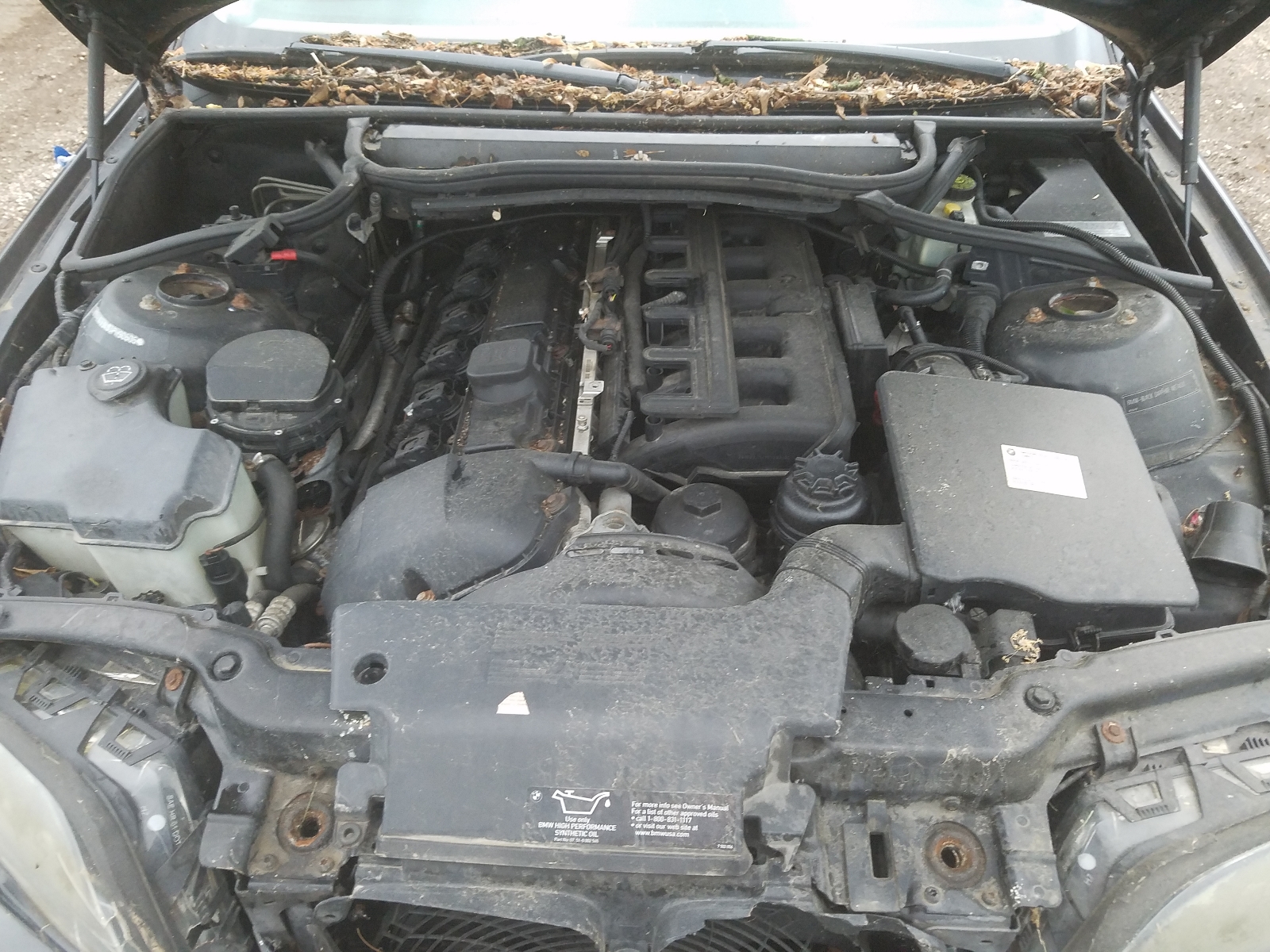 صورة رقم 7 من المزاد - 2003 BMW 325 XI مع VIN WBAEU33483PH90606