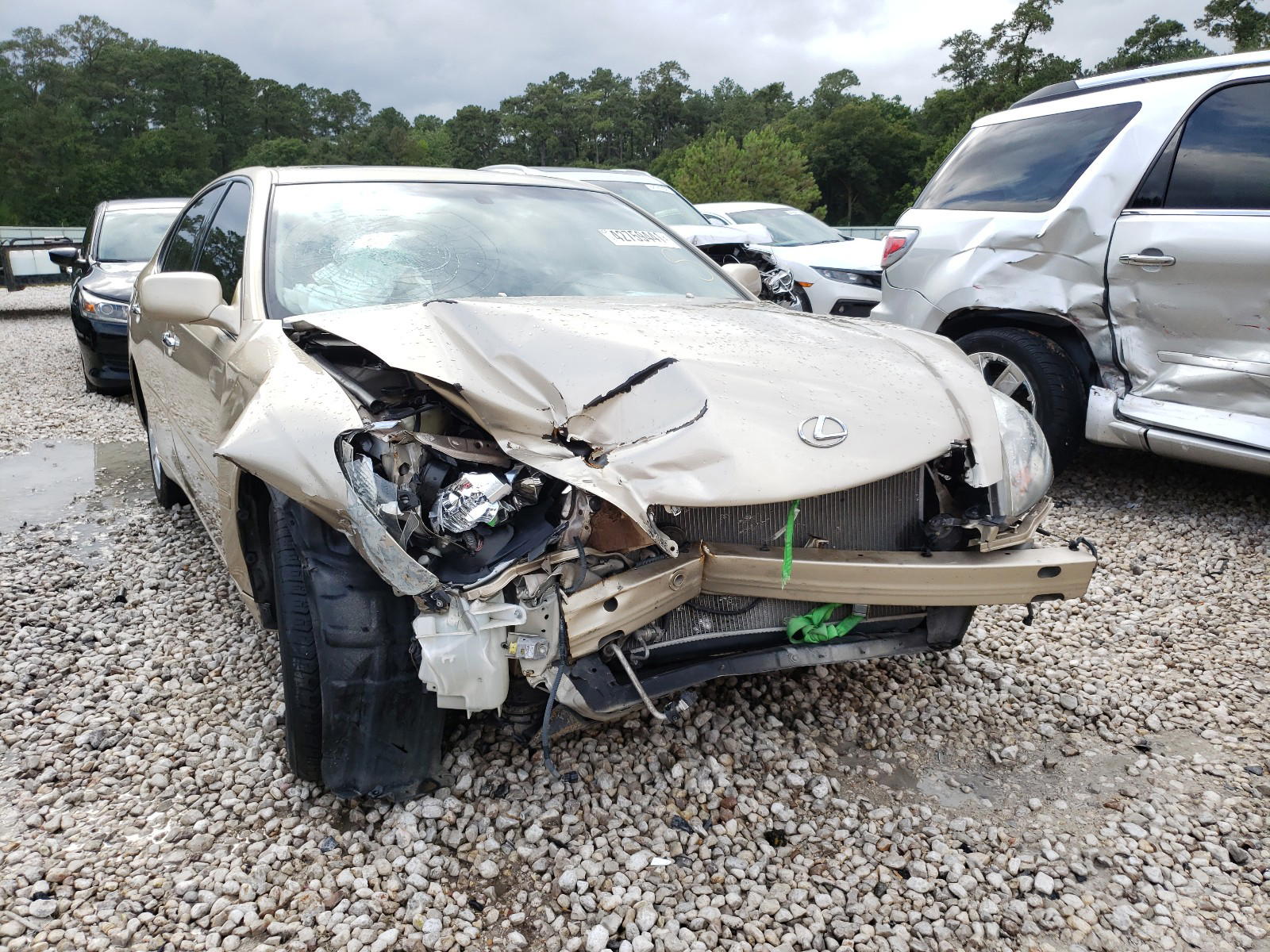 LEXUS ES 300 2002 with VIN JTHBF30G220081249 - Photo from auction
