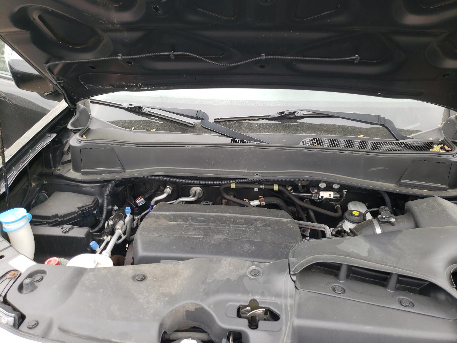 Photo 7 from auction – 2014 HONDA PILOT EXL with VIN 5FNYF4H56EB053321