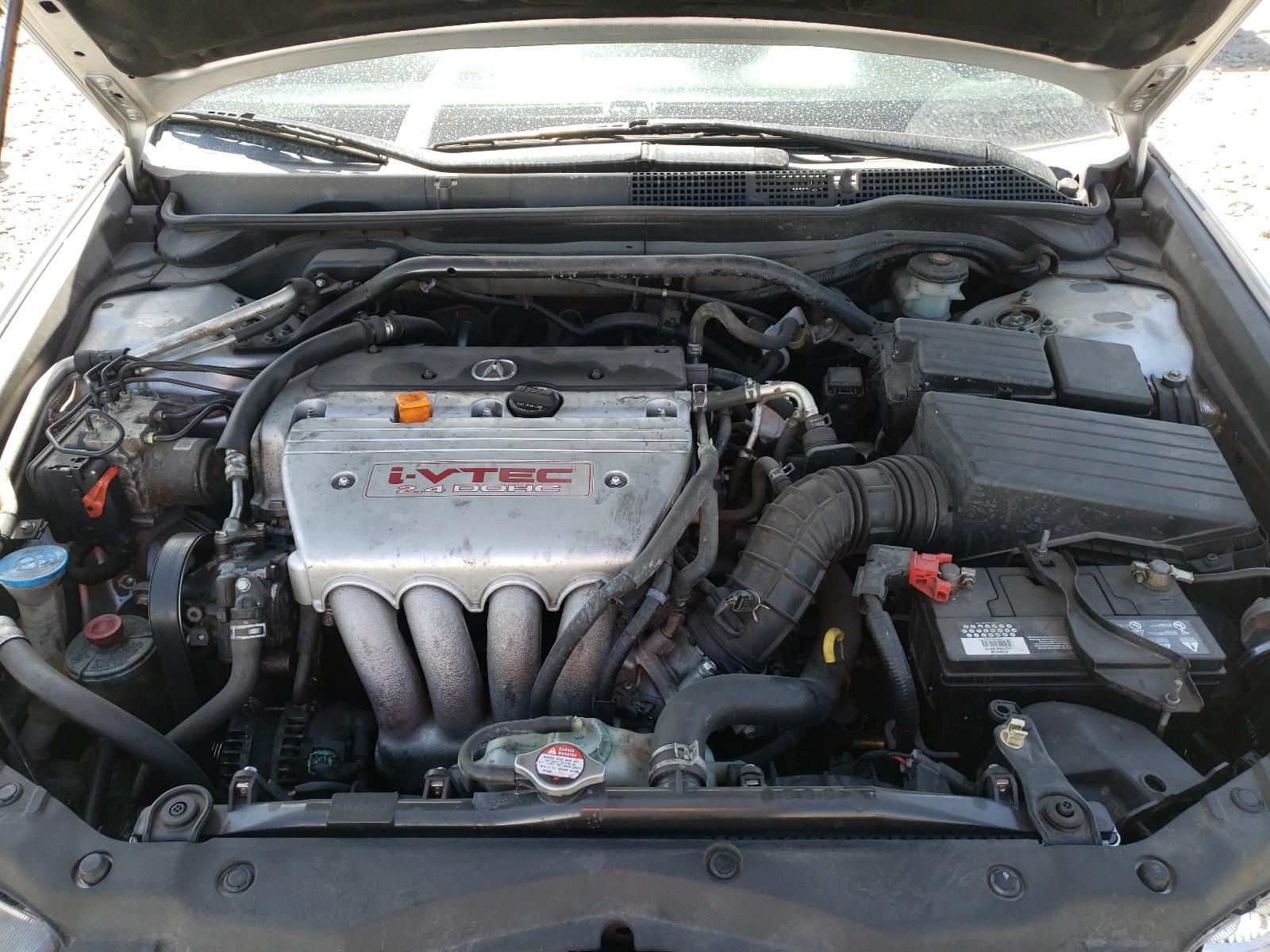 Photo 7 from auction – 2008 ACURA TSX with VIN JH4CL96828C012312