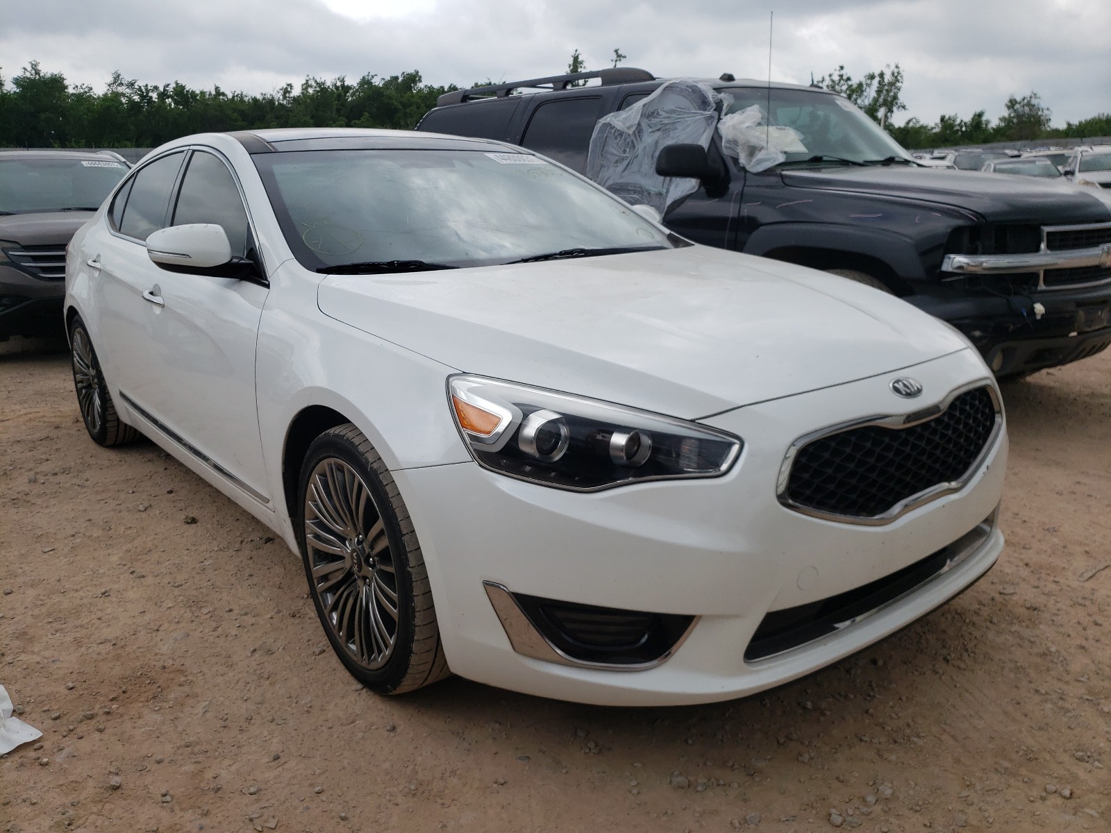 KIA CADENZA PR 2014 with VIN KNALN4D75E5165238 - Photo from auction