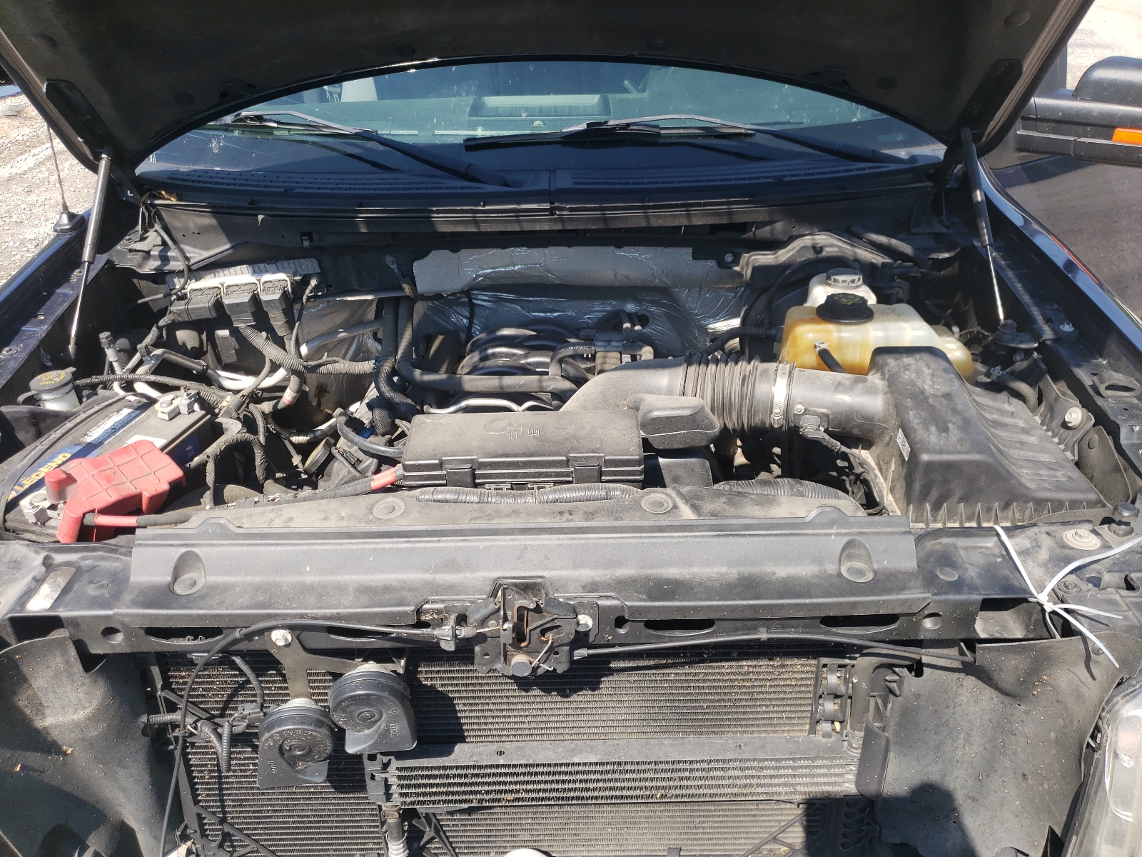 Photo 7 from auction – 2013 FORD F150 SUPER with VIN 1FTFW1EF8DKF24793