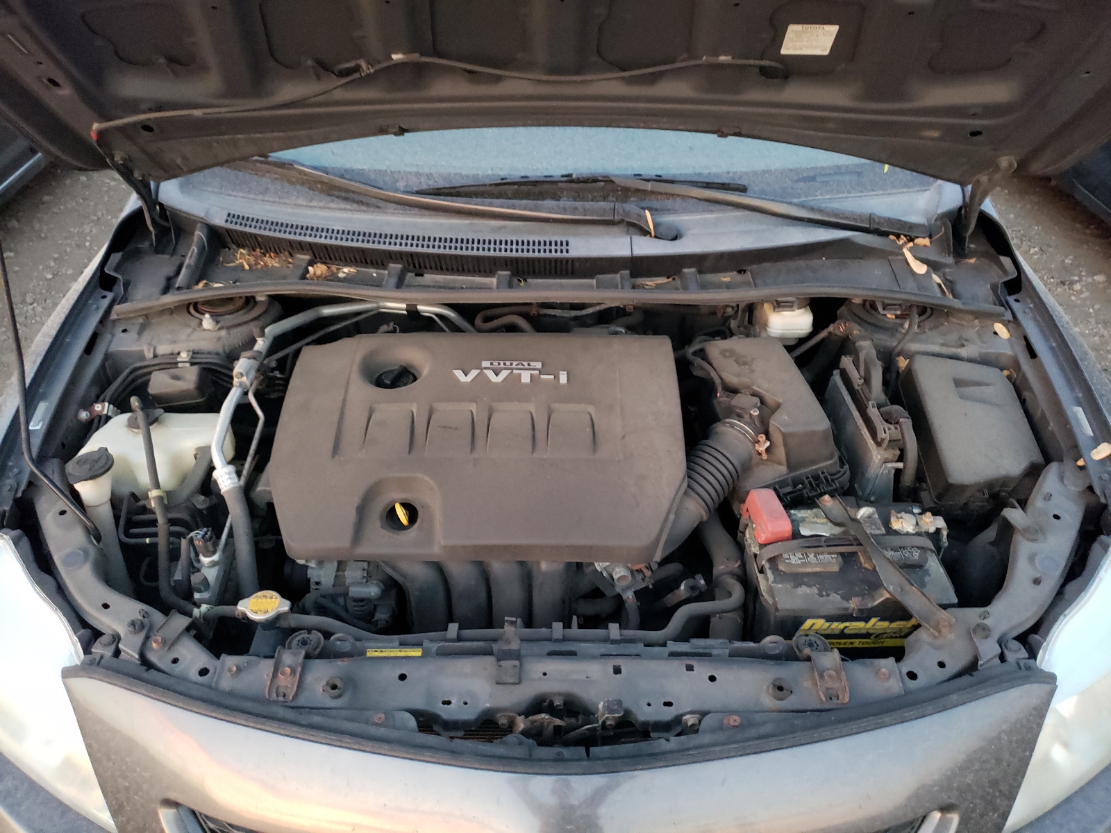 Photo 7 from auction – 2010 TOYOTA COROLLA BA with VIN 1NXBU4EE0AZ288407
