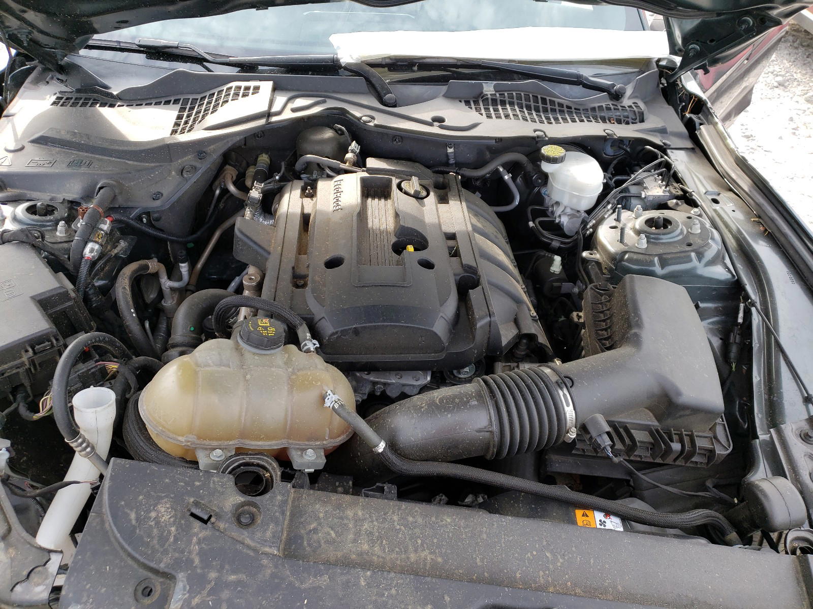 Photo 7 from auction – 2015 FORD MUSTANG with VIN 1FA6P8TH8F5349026