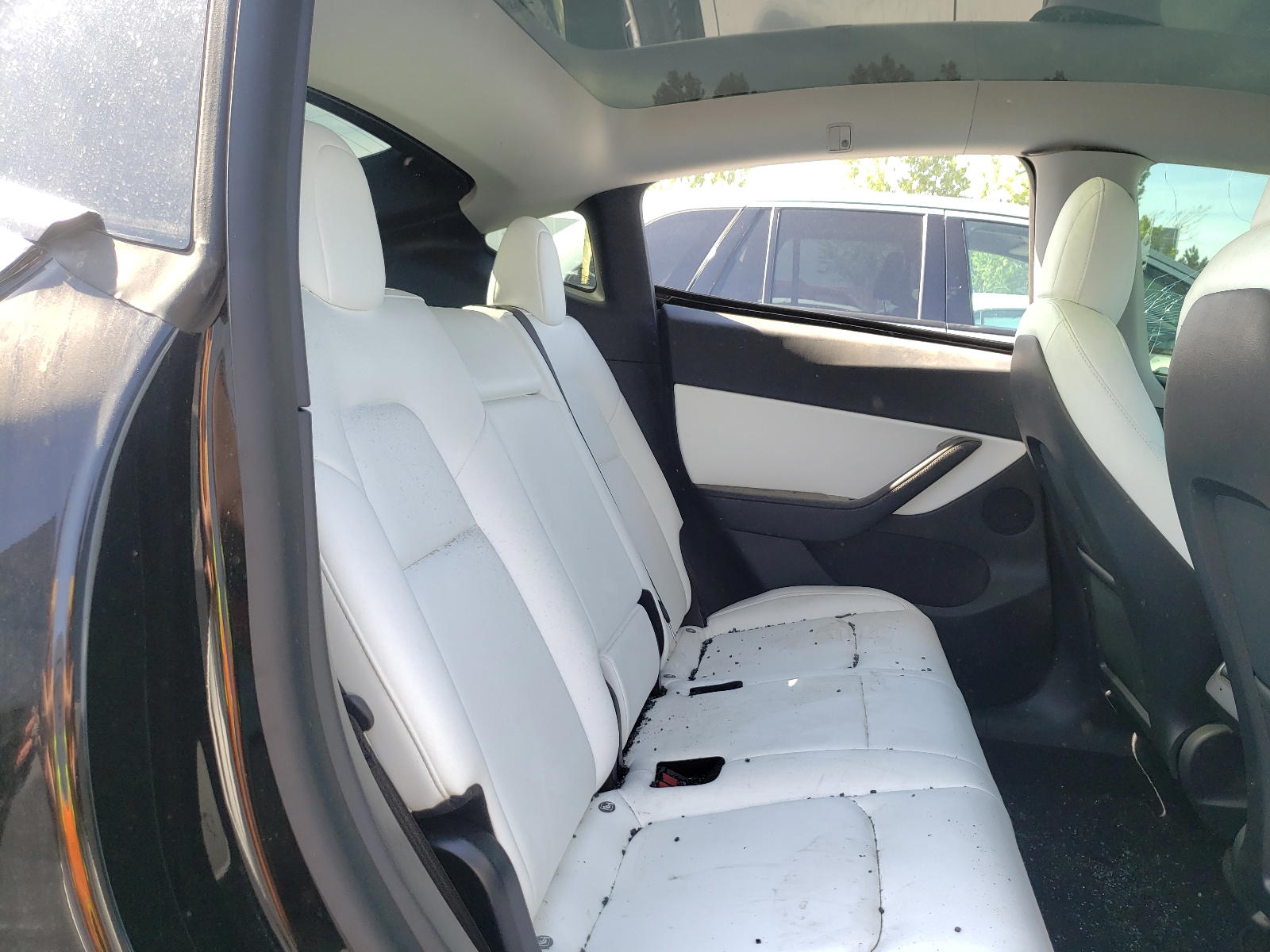 Photo 6 from auction – 2021 TESLA MODEL Y with VIN 5YJYGDEE0MF081177