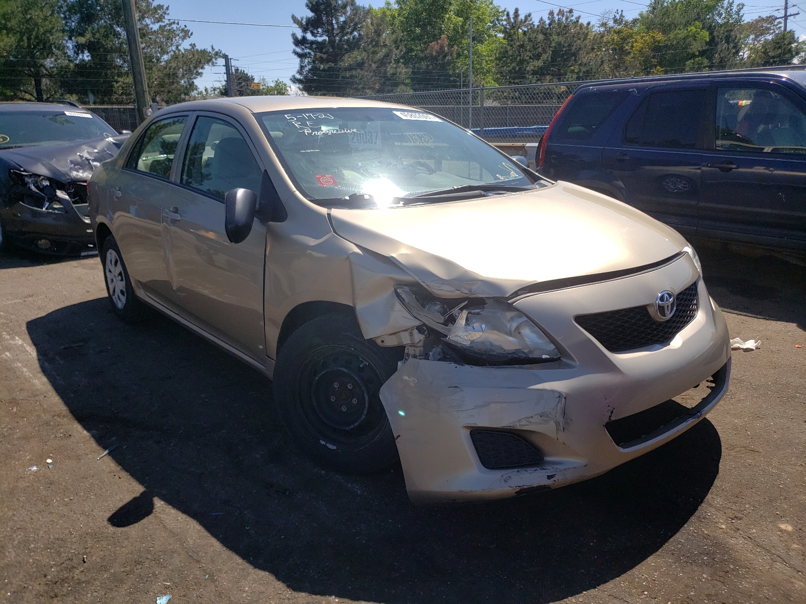 TOYOTA COROLLA BA 2010 with VIN 1NXBU4EE7AZ313562 - Photo from auction