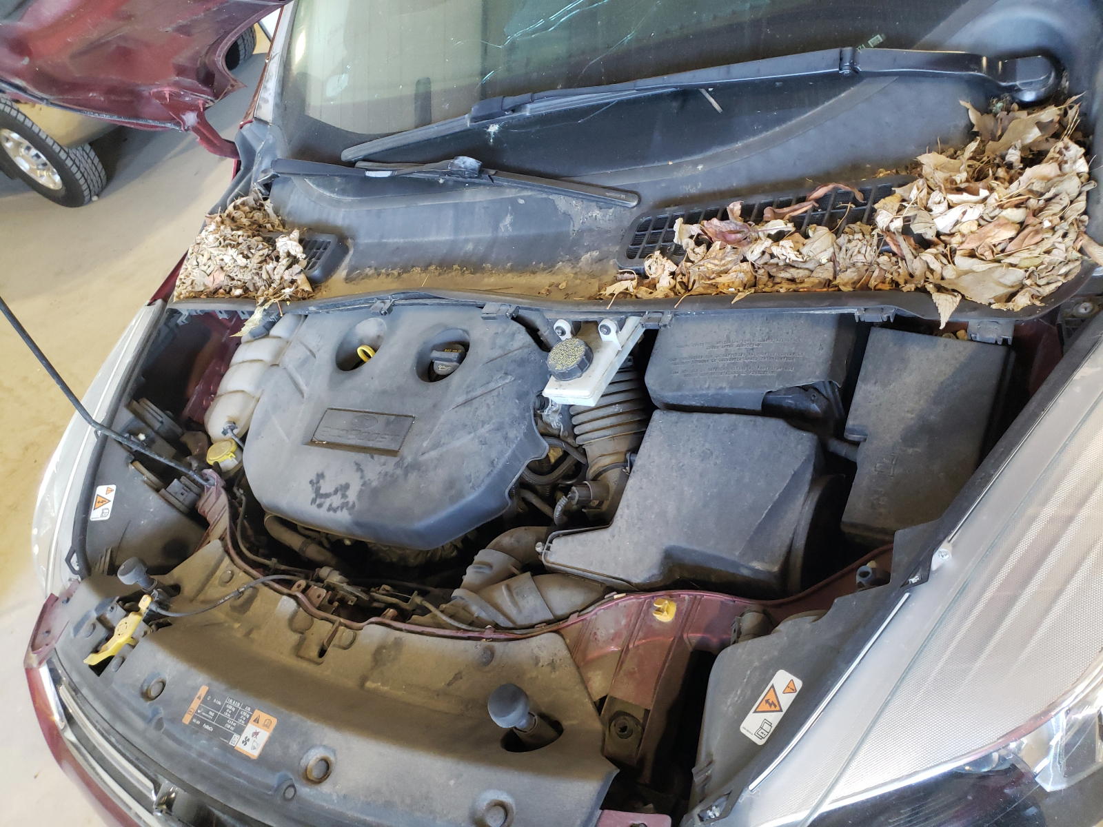 Photo 7 from auction – 2014 FORD ESCAPE TIT with VIN 1FMCU0J99EUD22971