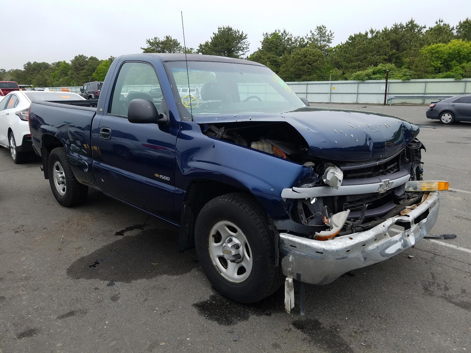 CHEVROLET SILVERADO 2002 with VIN 1GCEC14W12Z112483 - Photo from auction