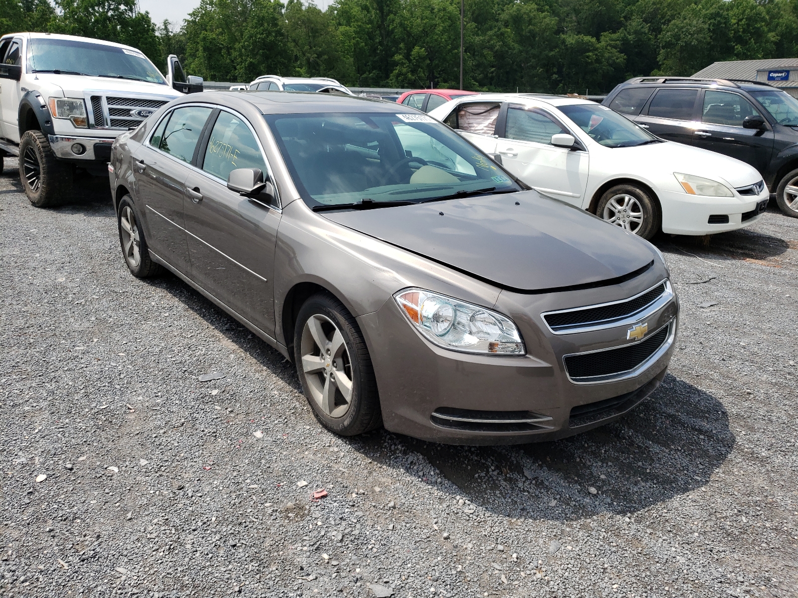 Photo 1 from auction – 2011 CHEVROLET MALIBU 1LT with VIN 1G1ZC5E11BF395344