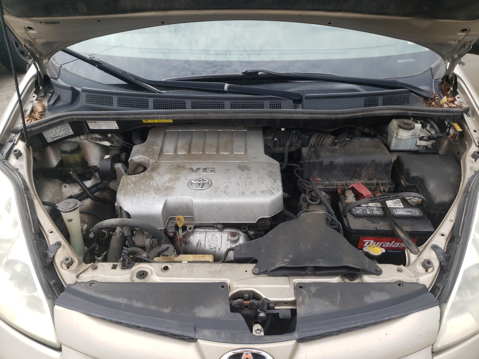Photo 7 from auction – 2008 TOYOTA SIENNA CE with VIN 5TDZK23C58S138984