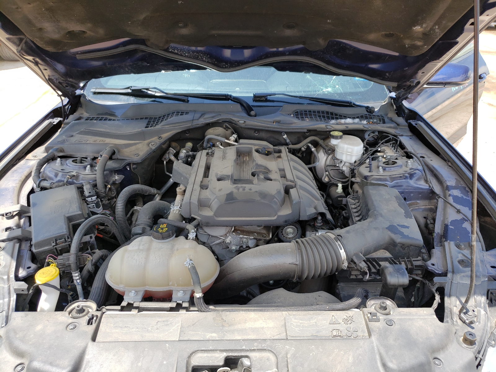 Photo 7 from auction – 2019 FORD MUSTANG with VIN 1FA6P8THXK5143085