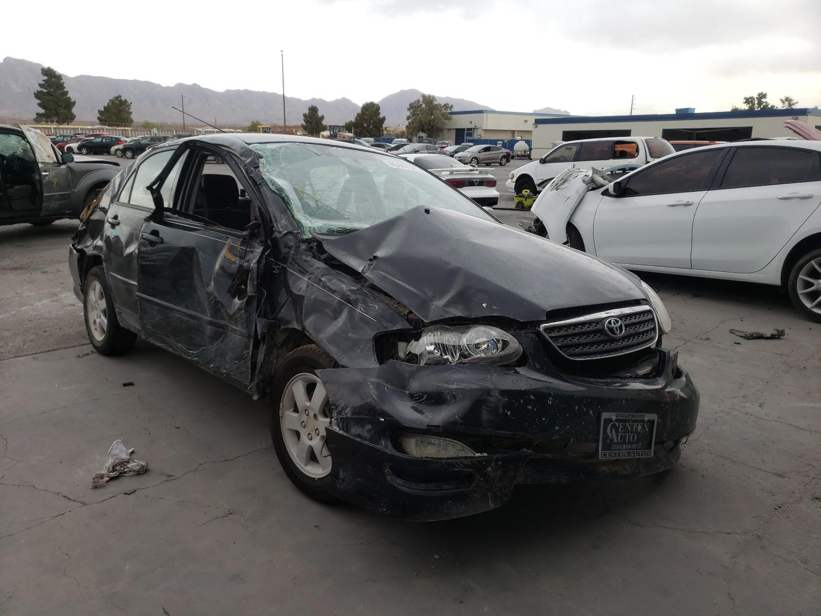 TOYOTA COROLLA CE 2006 with VIN 2T1BR32E46C693310 - Photo from auction