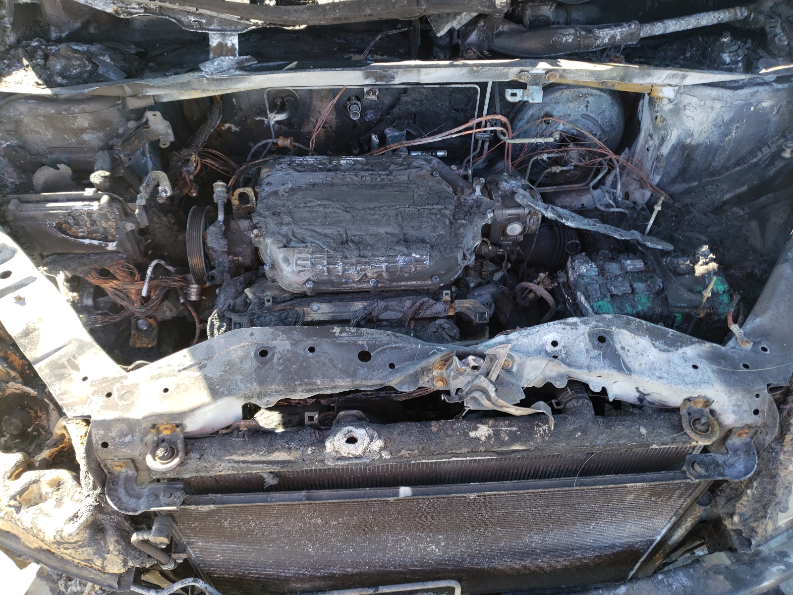 Photo 7 from auction – 2006 HONDA ODYSSEY EX with VIN 5FNRL38466B422520