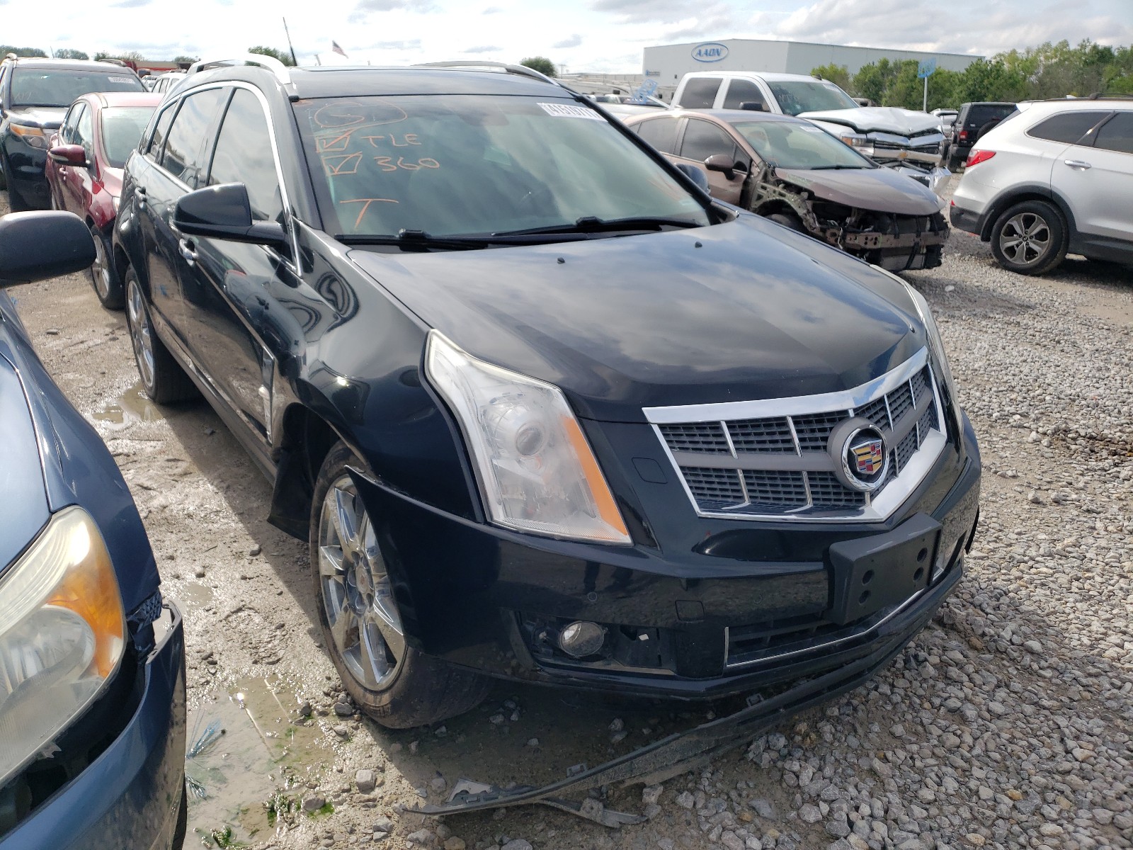 CADILLAC SRX PERFOR 2011 with VIN 3GYFNBEY2BS598507 - Photo from auction