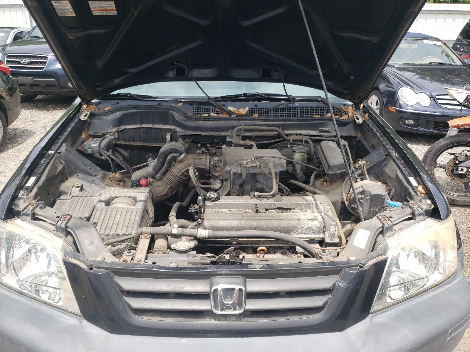 Photo 7 from auction – 1998 HONDA CR-V LX with VIN JHLRD1849WC071622