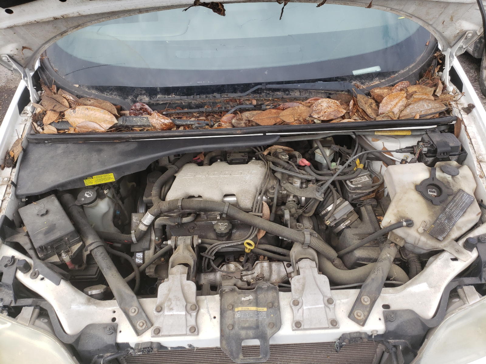 Photo 7 from auction – 2004 CHEVROLET VENTURE with VIN 1GNDU03E14D258725