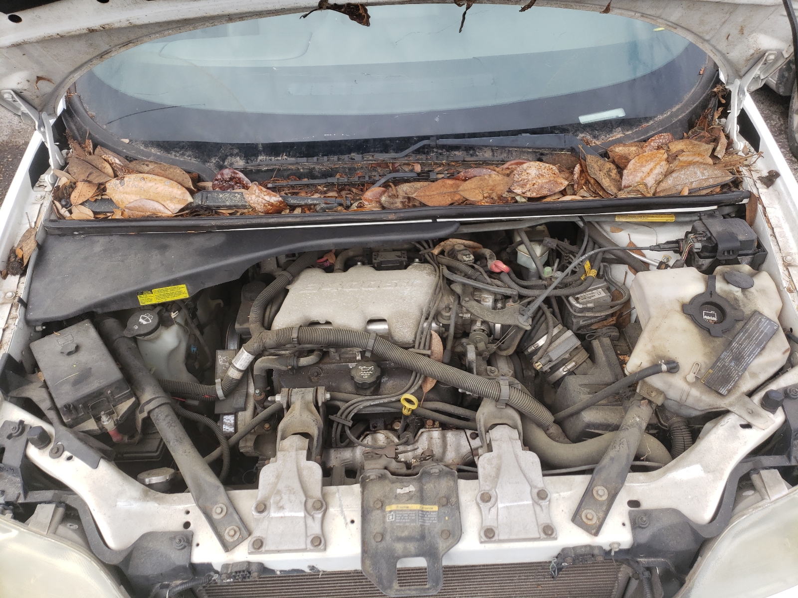Zdjęcie 7 z aukcji – 2004 CHEVROLET VENTURE z VIN 1GNDU03E14D258725