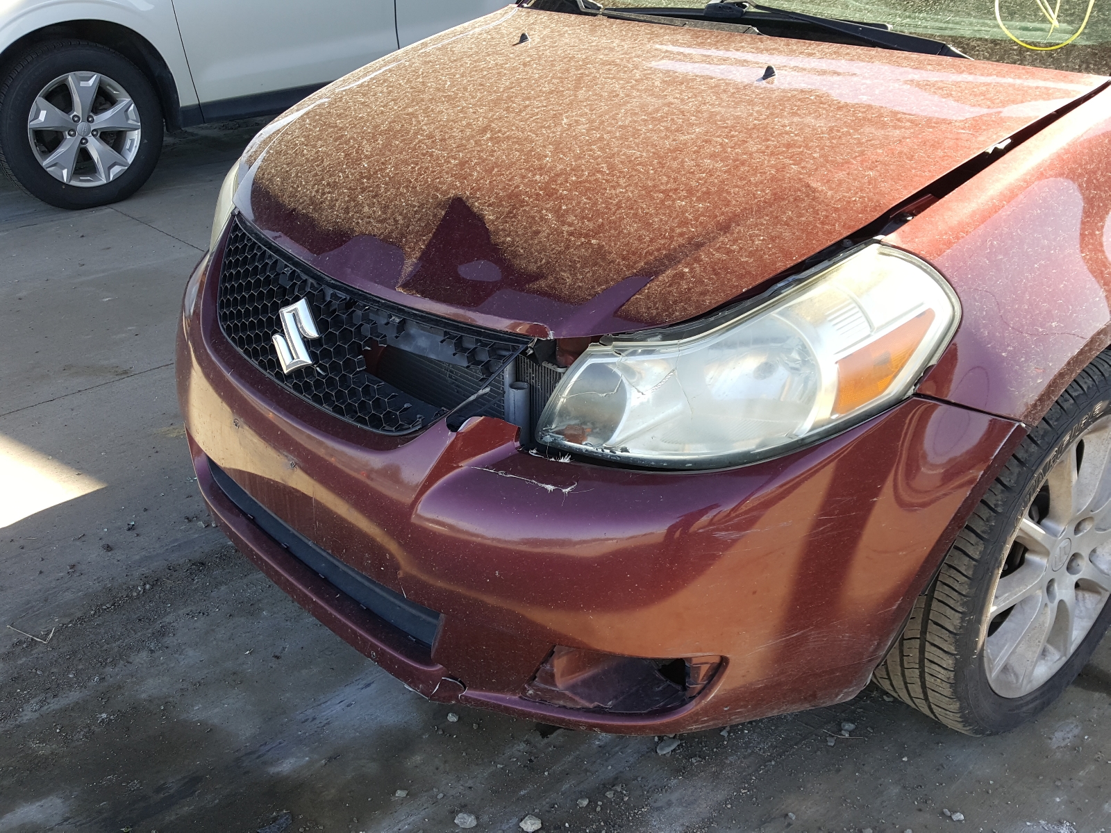Photo 9 from auction – 2008 SUZUKI SX4 TOURIN with VIN JS2YC417785101103