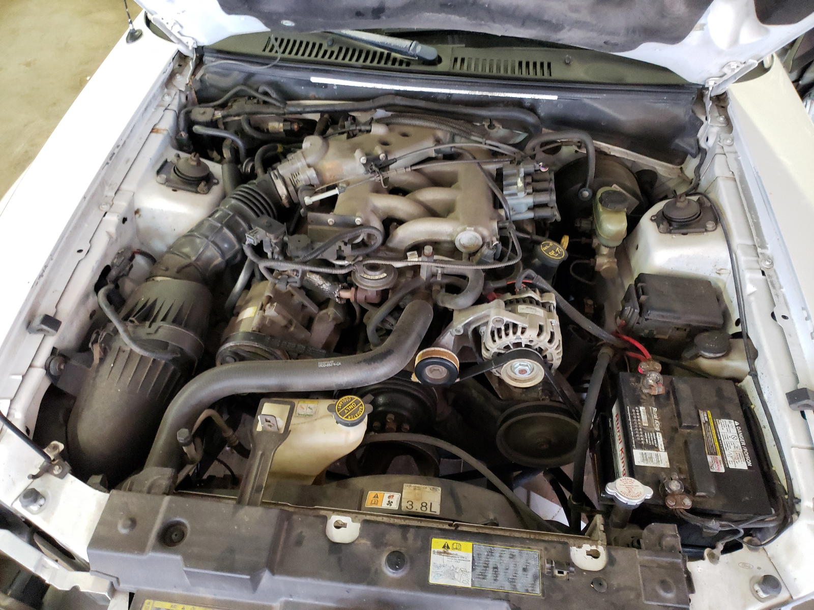 Photo 7 from auction – 2002 FORD MUSTANG with VIN 1FAFP404X2F155161