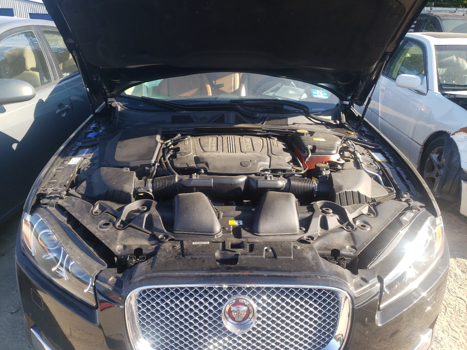 Photo 7 from auction – 2015 JAGUAR XF 3.0 SPO with VIN SAJWJ0FF5F8U66618