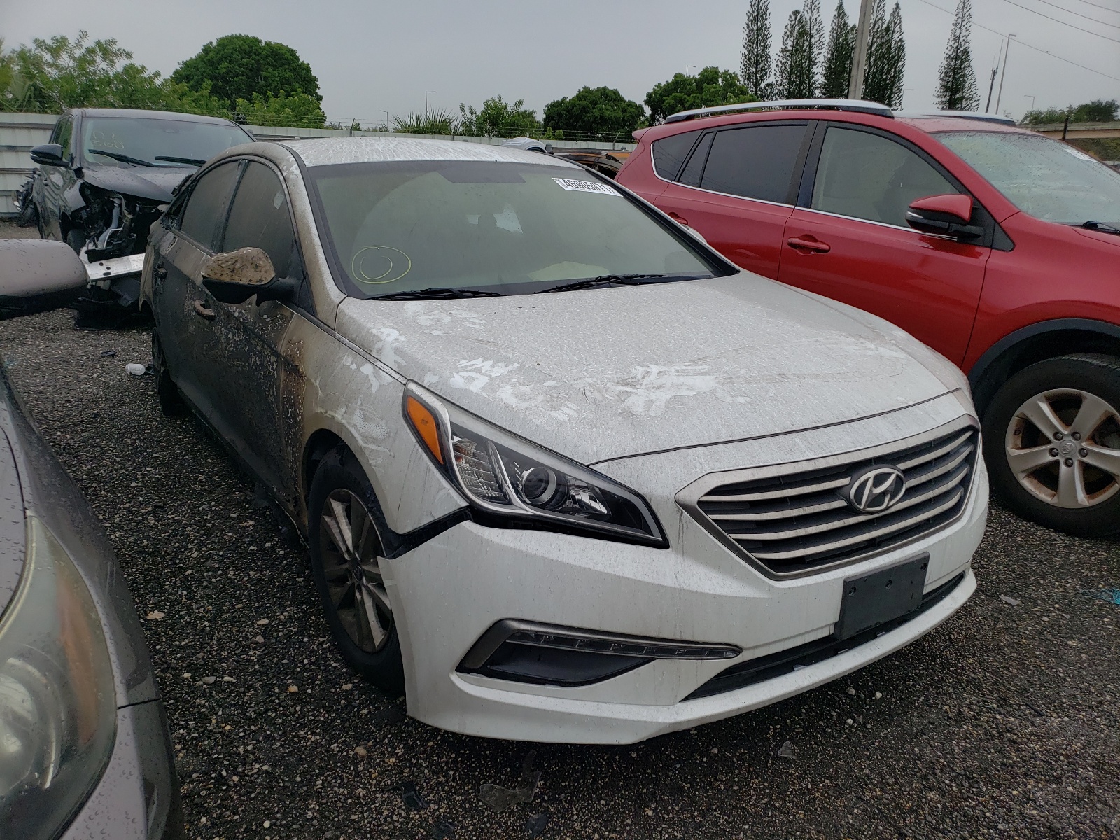 HYUNDAI SONATA SE 2015 with VIN 5NPE24AF7FH089538 - Photo from auction