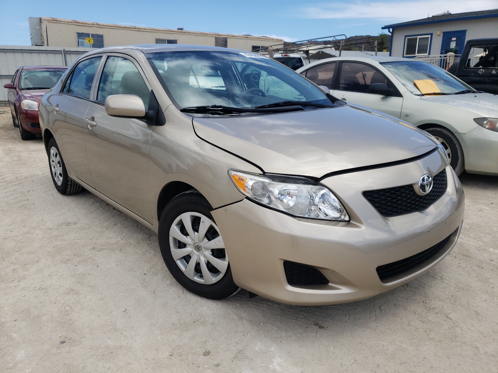 TOYOTA COROLLA BA 2010 with VIN 1NXBU4EE9AZ245801 - Photo from auction