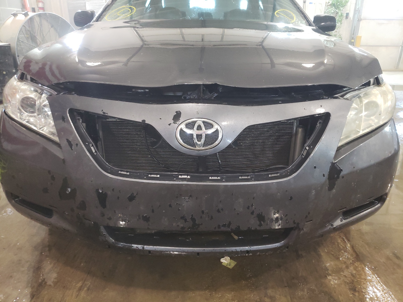 Photo 9 from auction – 2008 TOYOTA CAMRY CE with VIN 4T4BE46K78R030077