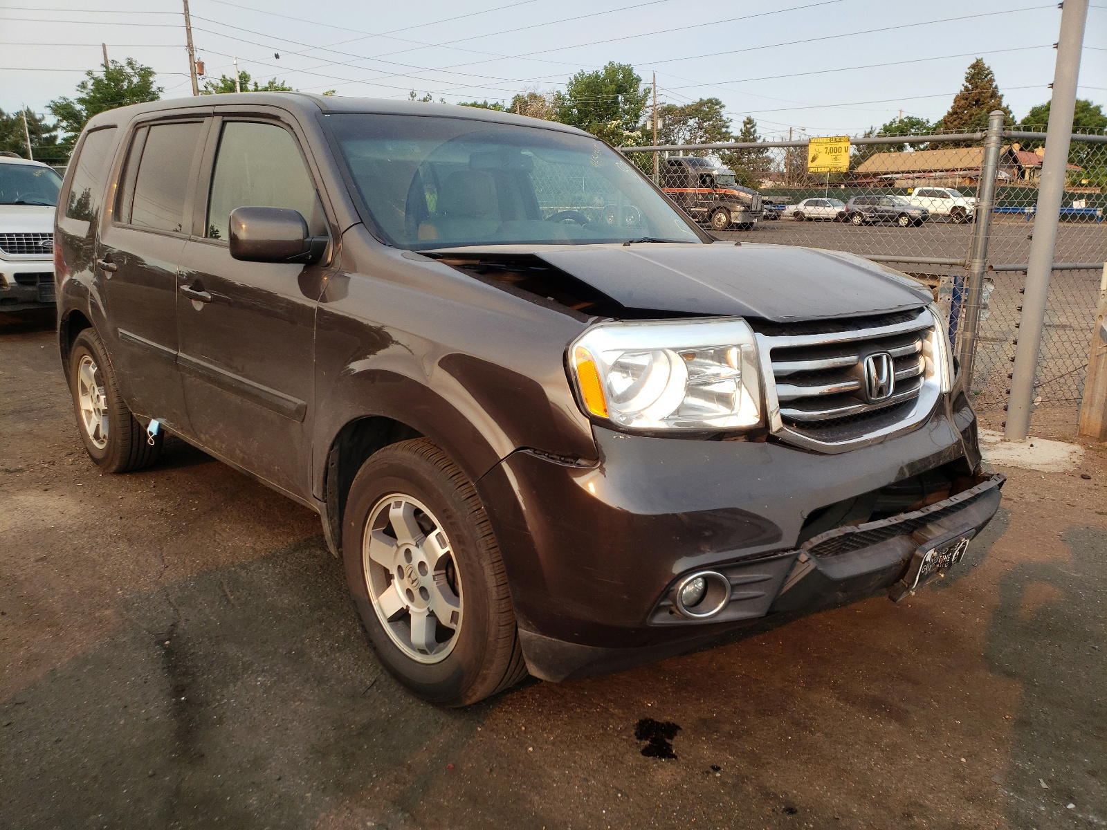HONDA PILOT EXL 2013 with VIN 5FNYF4H53DB010022 - Photo from auction