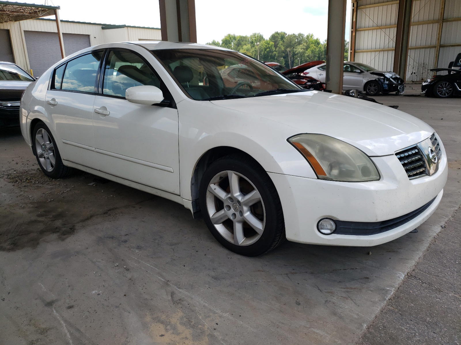 NISSAN MAXIMA SE 2004 with VIN 1N4BA41E04C823982 - Photo from auction