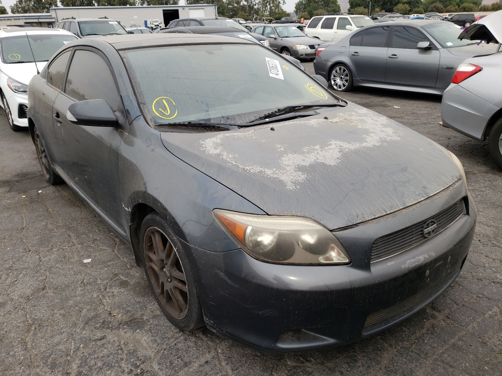 TOYOTA SCION TC 2005 with VIN JTKDE177X50025533 - Photo from auction