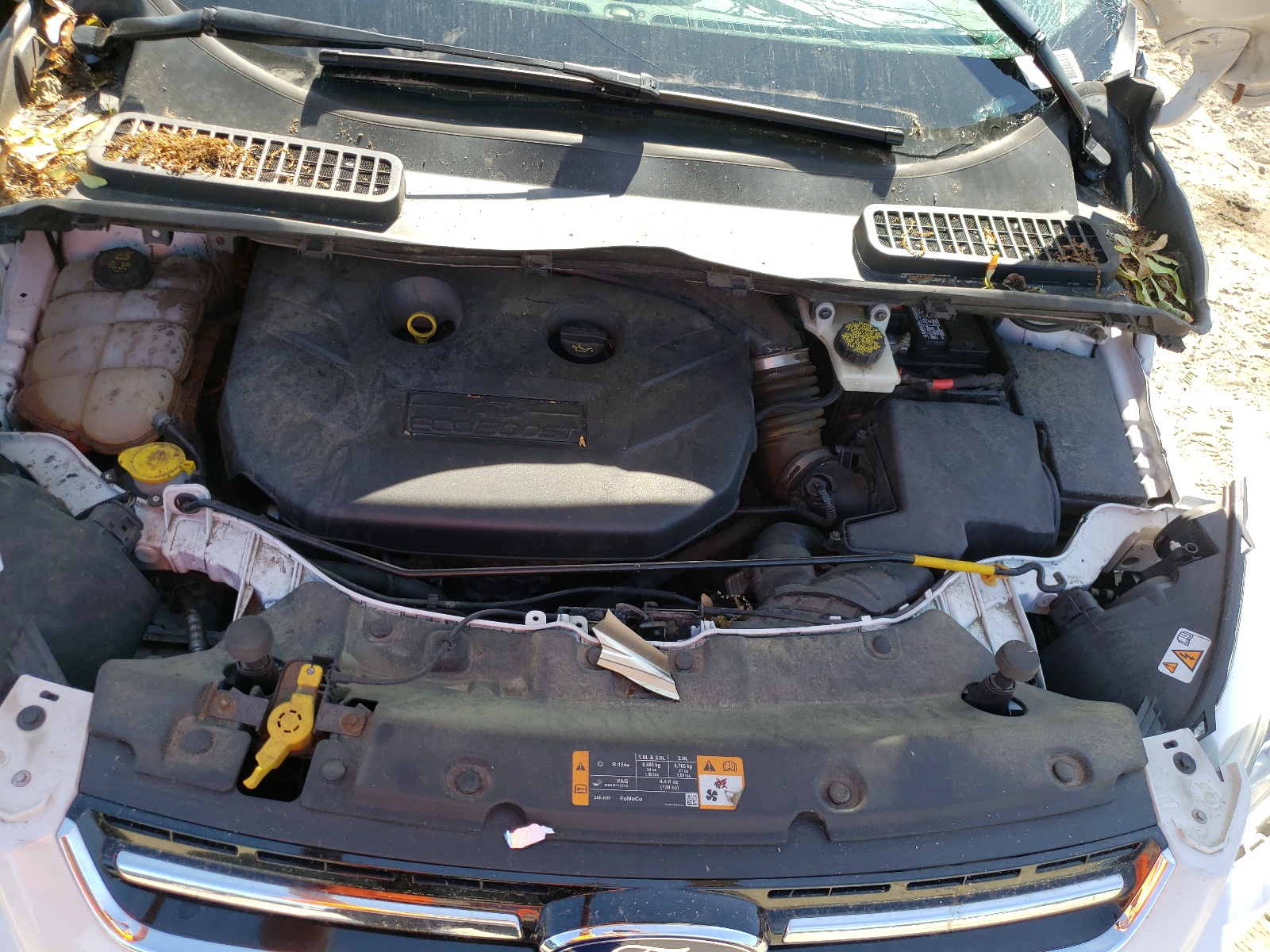 Photo 7 from auction – 2014 FORD ESCAPE TIT with VIN 1FMCU9J9XEUA18293