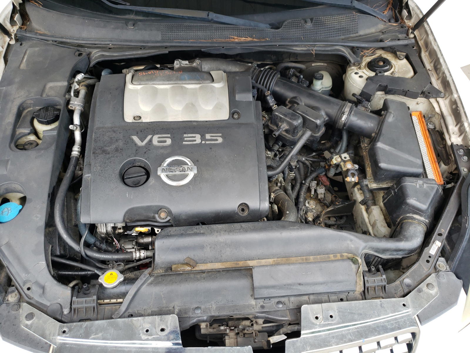 Photo 7 from auction – 2004 NISSAN MAXIMA SE with VIN 1N4BA41E04C823982