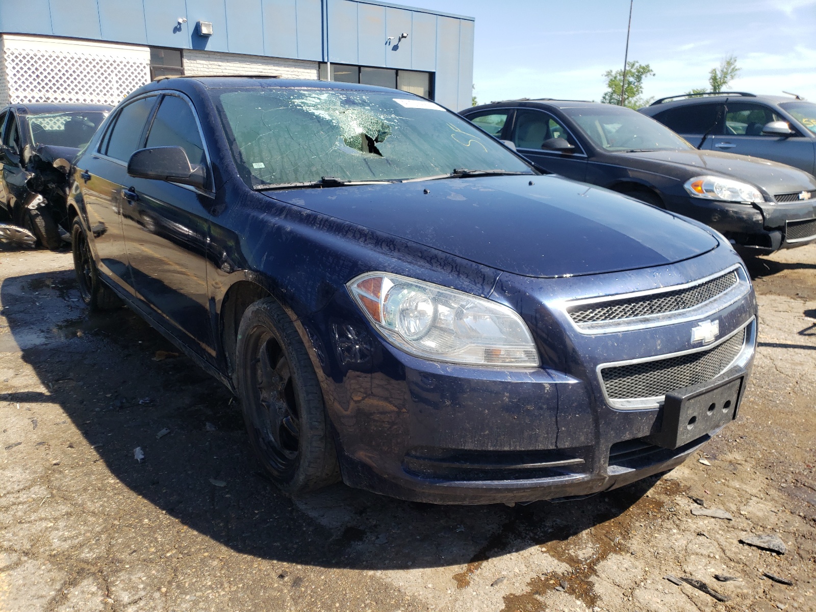 CHEVROLET MALIBU LS 2011 with VIN 1G1ZA5EUXBF105506 - Photo from auction