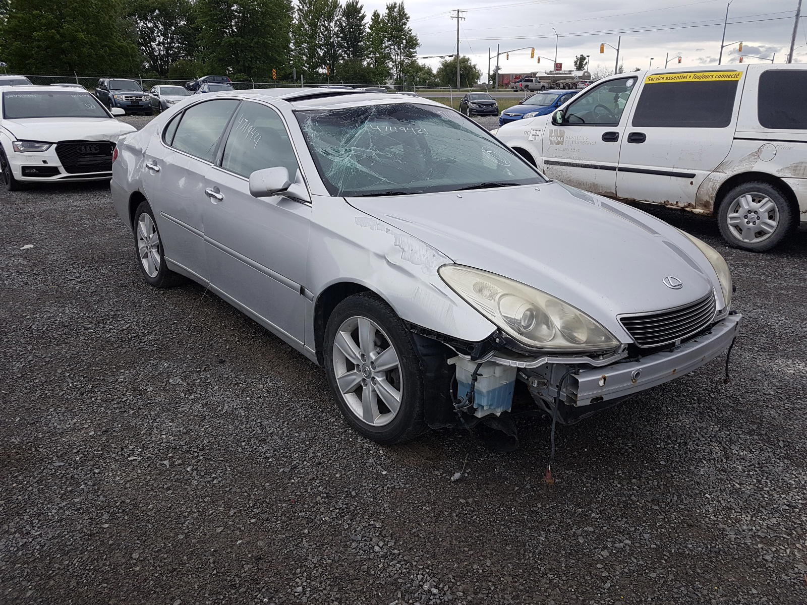 LEXUS ES 330 2005 with VIN JTHBA30G555127968 - Photo from auction