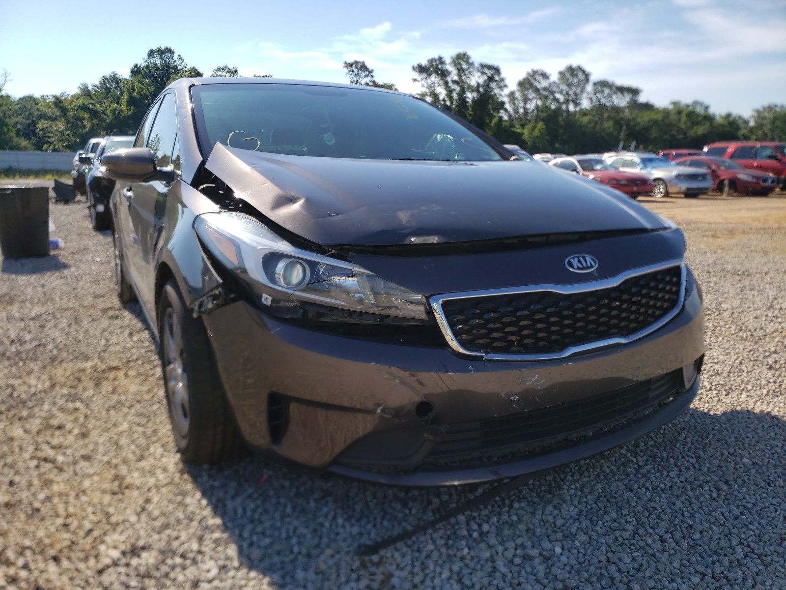 KIA FORTE LX 2017 with VIN 3KPFL4A77HE138156 - Photo from auction