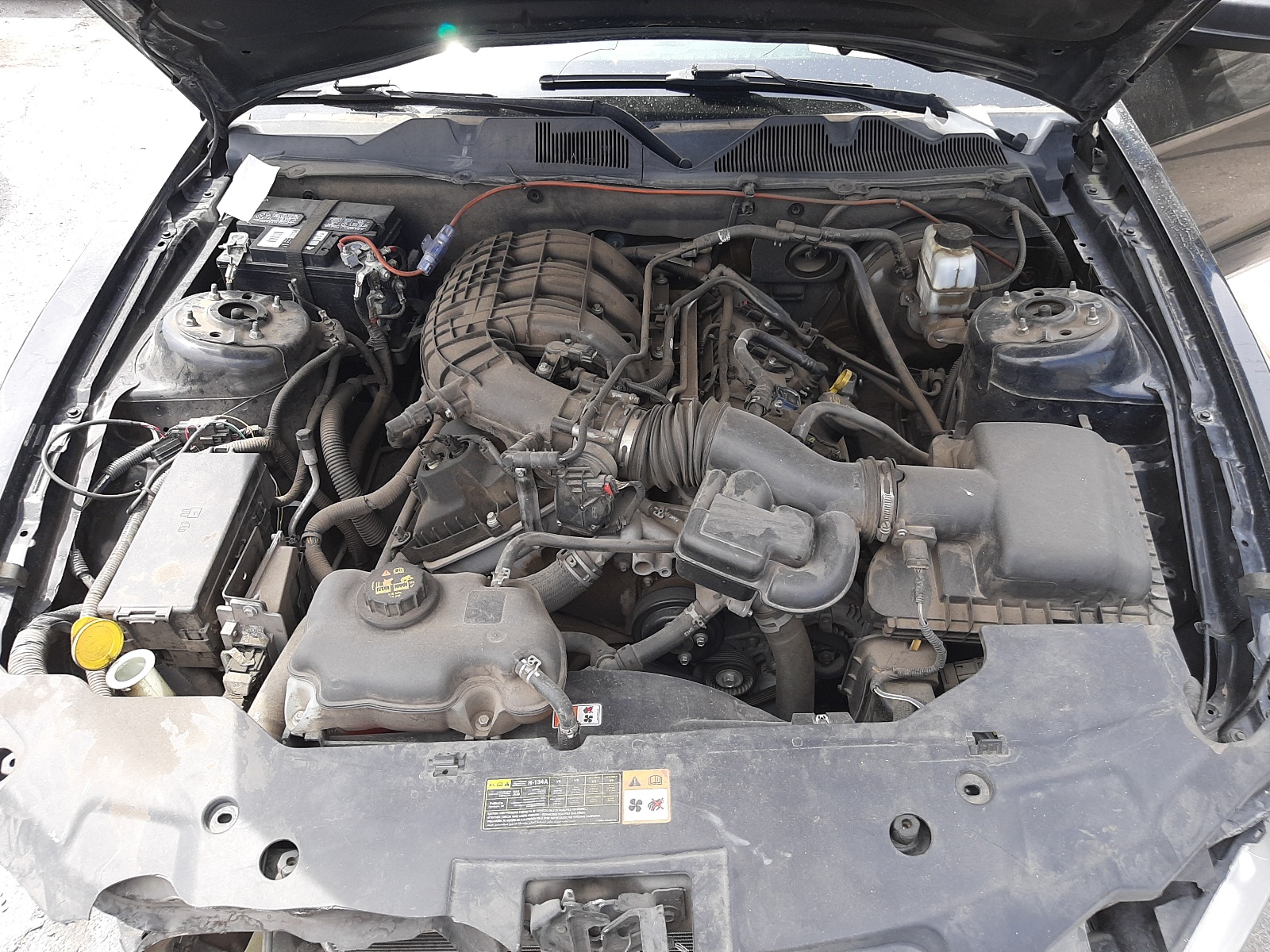 Photo 7 from auction – 2011 FORD MUSTANG with VIN 1ZVBP8AM4B5169428