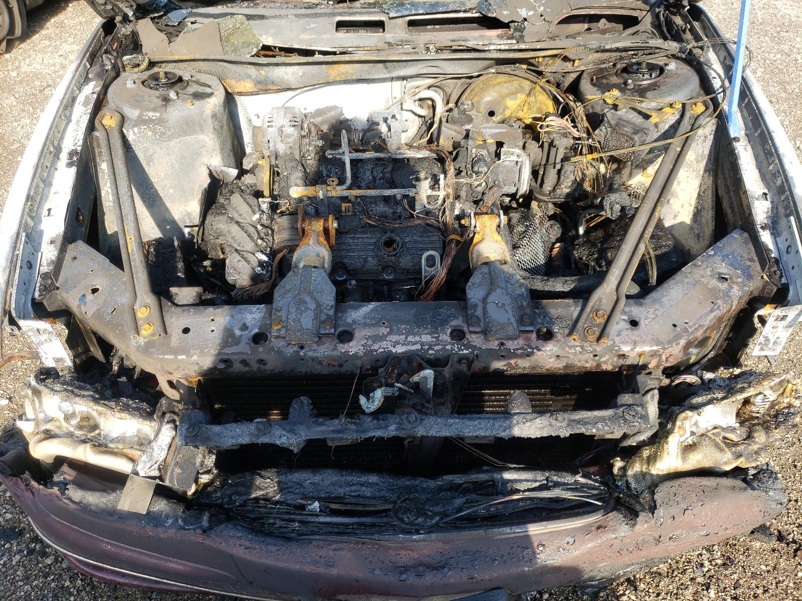 Photo 7 from auction – 1998 BUICK REGAL LS with VIN 2G4WB52K7W1613550