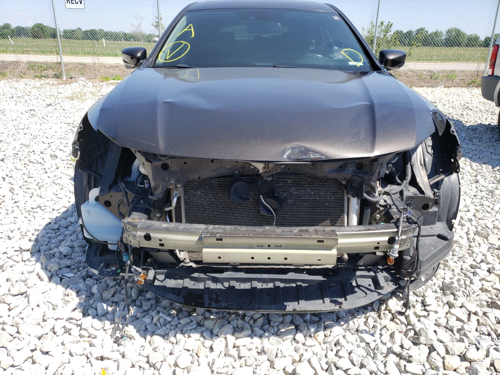 Photo 9 from auction – 2013 HONDA CROSSTOUR with VIN 5J6TF1H55DL001564