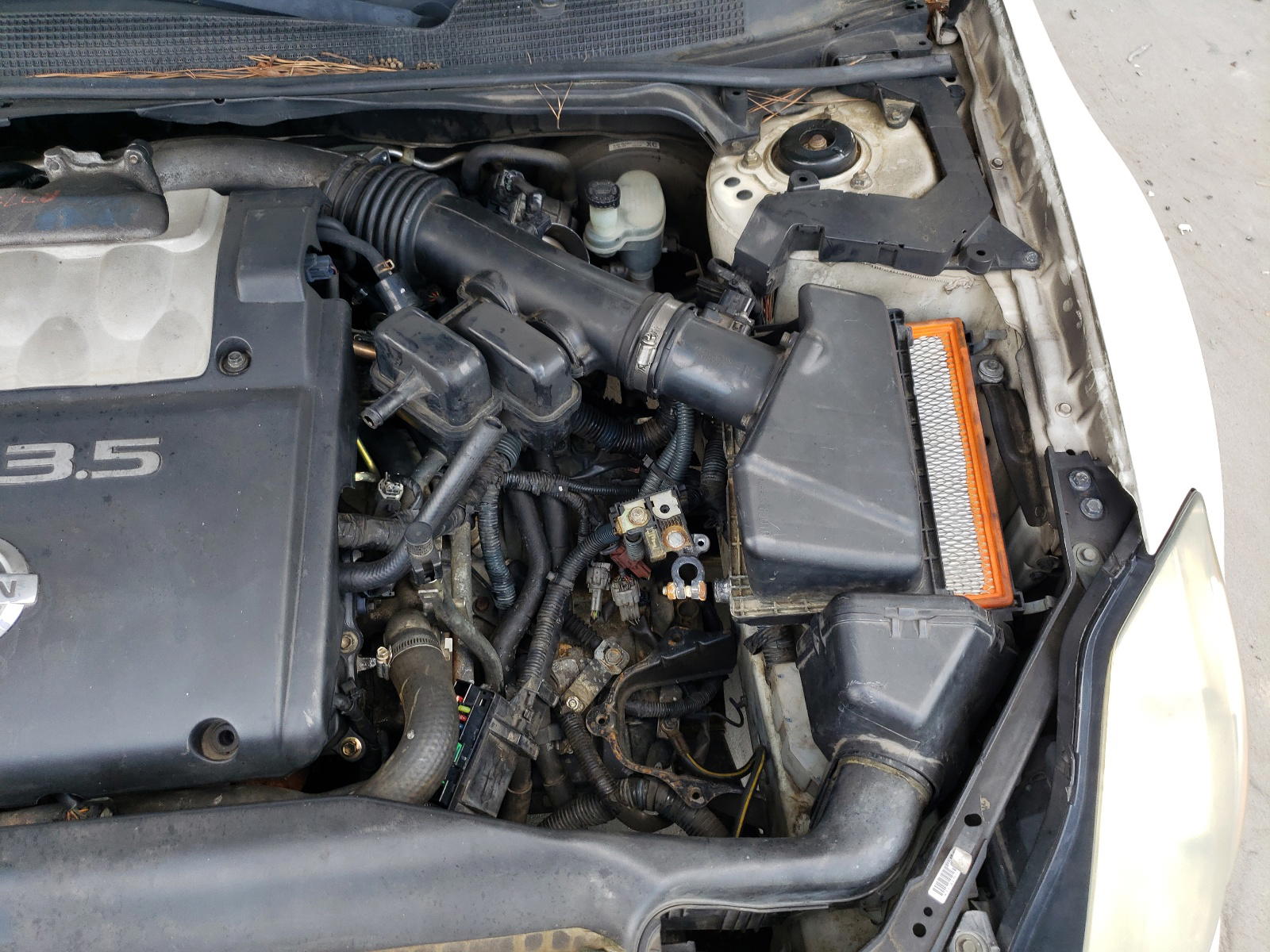 Photo 9 from auction – 2004 NISSAN MAXIMA SE with VIN 1N4BA41E04C823982