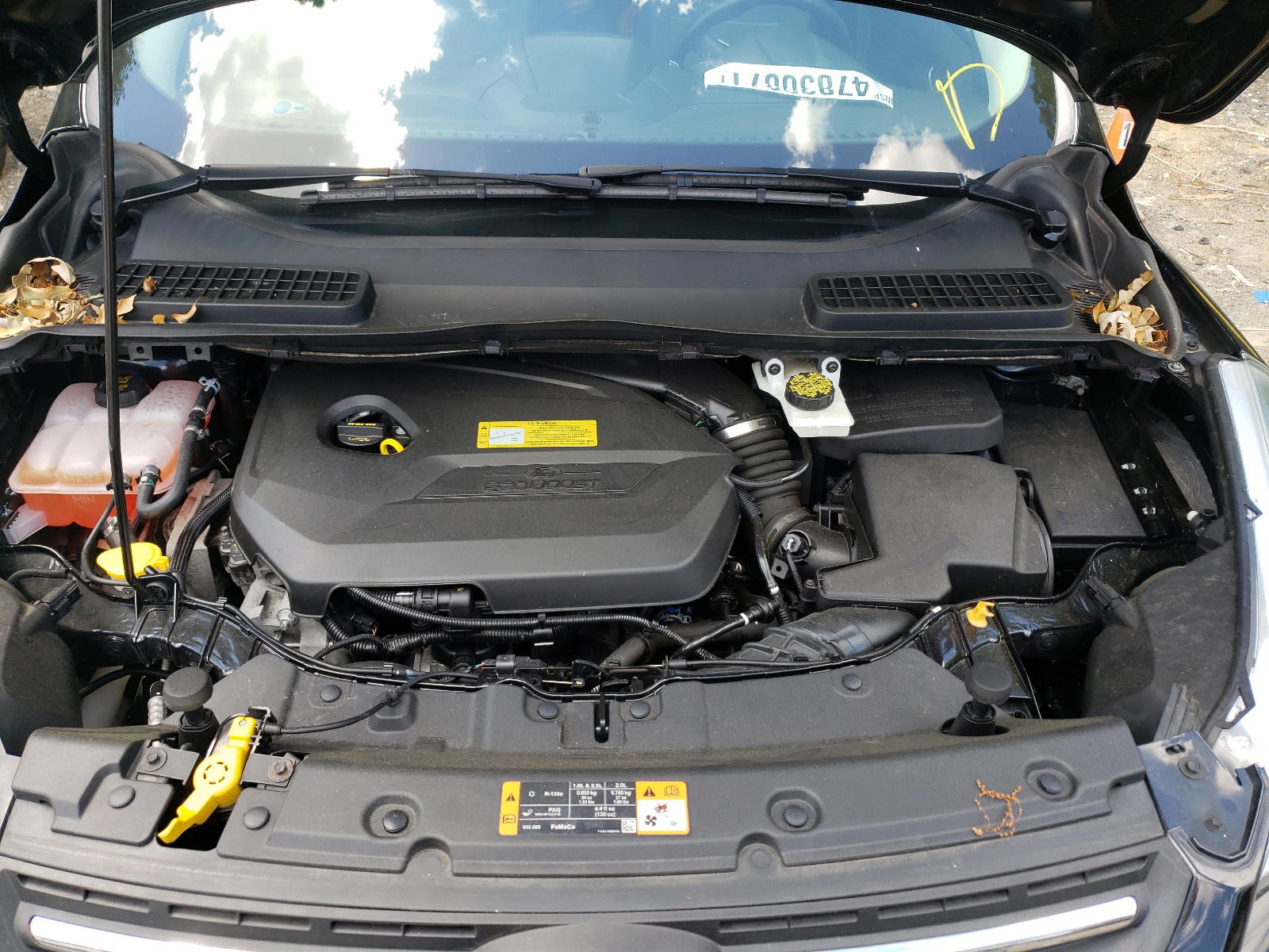 Photo 7 from auction – 2014 FORD ESCAPE SE with VIN 1FMCU0GX6EUC80717