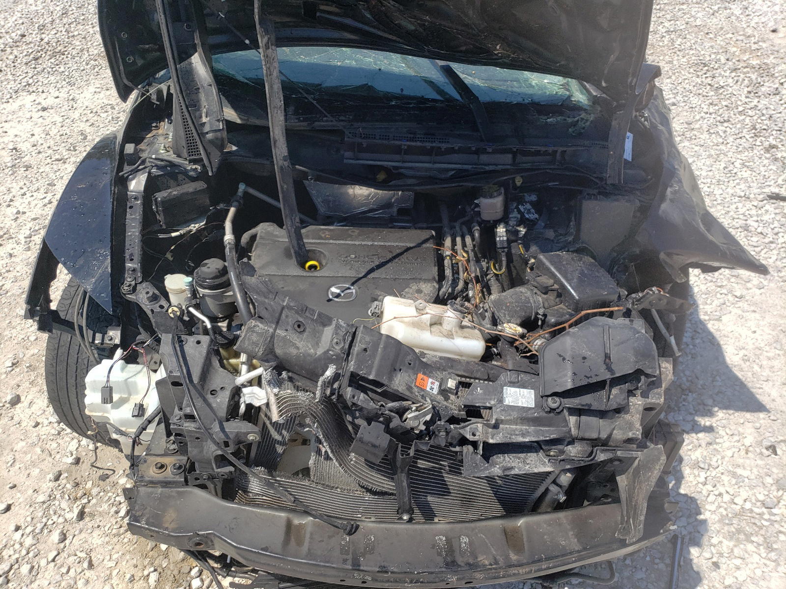 Photo 7 from auction – 2010 MAZDA CX-7 with VIN JM3ER2W59A0344851