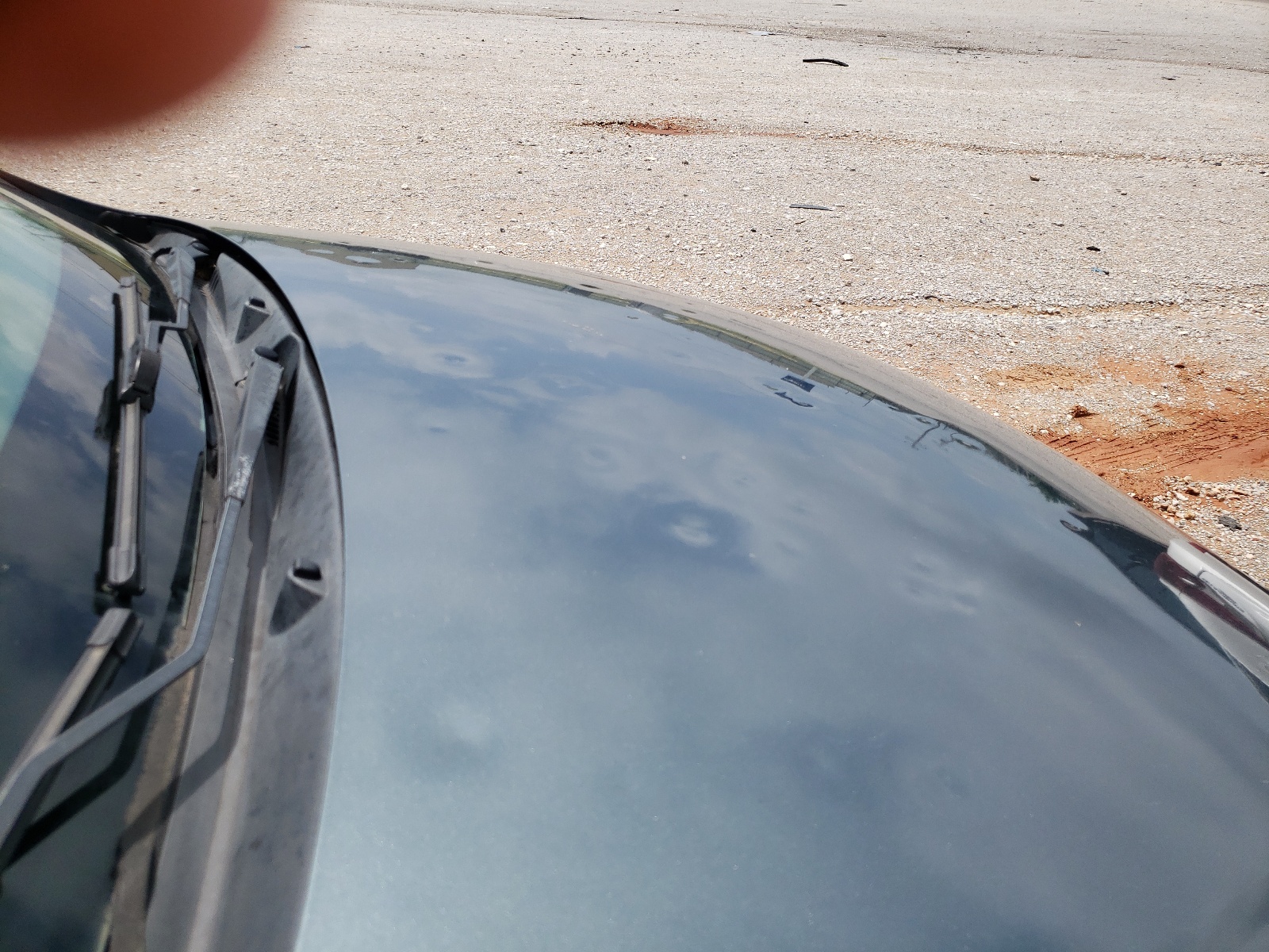 Photo 9 from auction – 2008 CHEVROLET COBALT LT with VIN 1G1AL58FX87268356