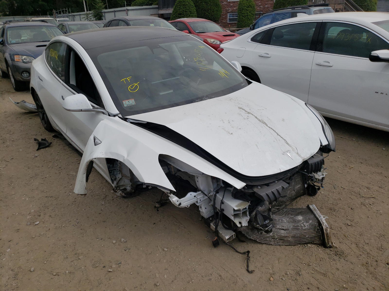 TESLA MODEL 3 2019 with VIN 5YJ3E1EB2KF493893 - Photo from auction
