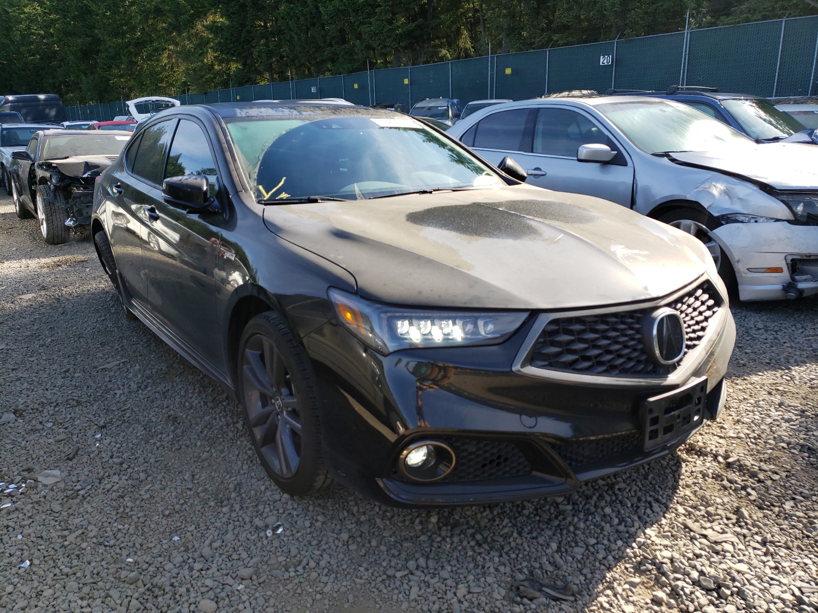 Photo 1 from auction – 2019 ACURA TLX TECHNO with VIN 19UUB2F68KA000006