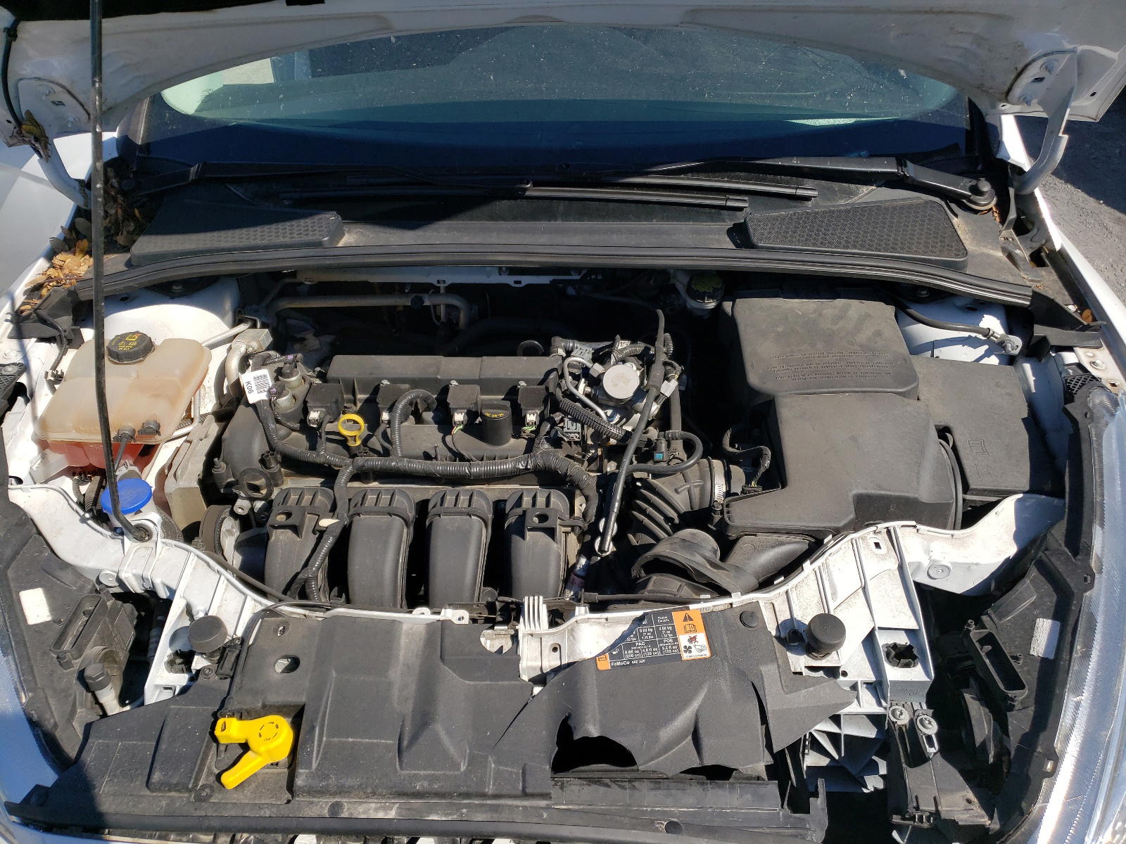 Photo 7 from auction – 2016 FORD FOCUS SE with VIN 1FADP3F29GL340835