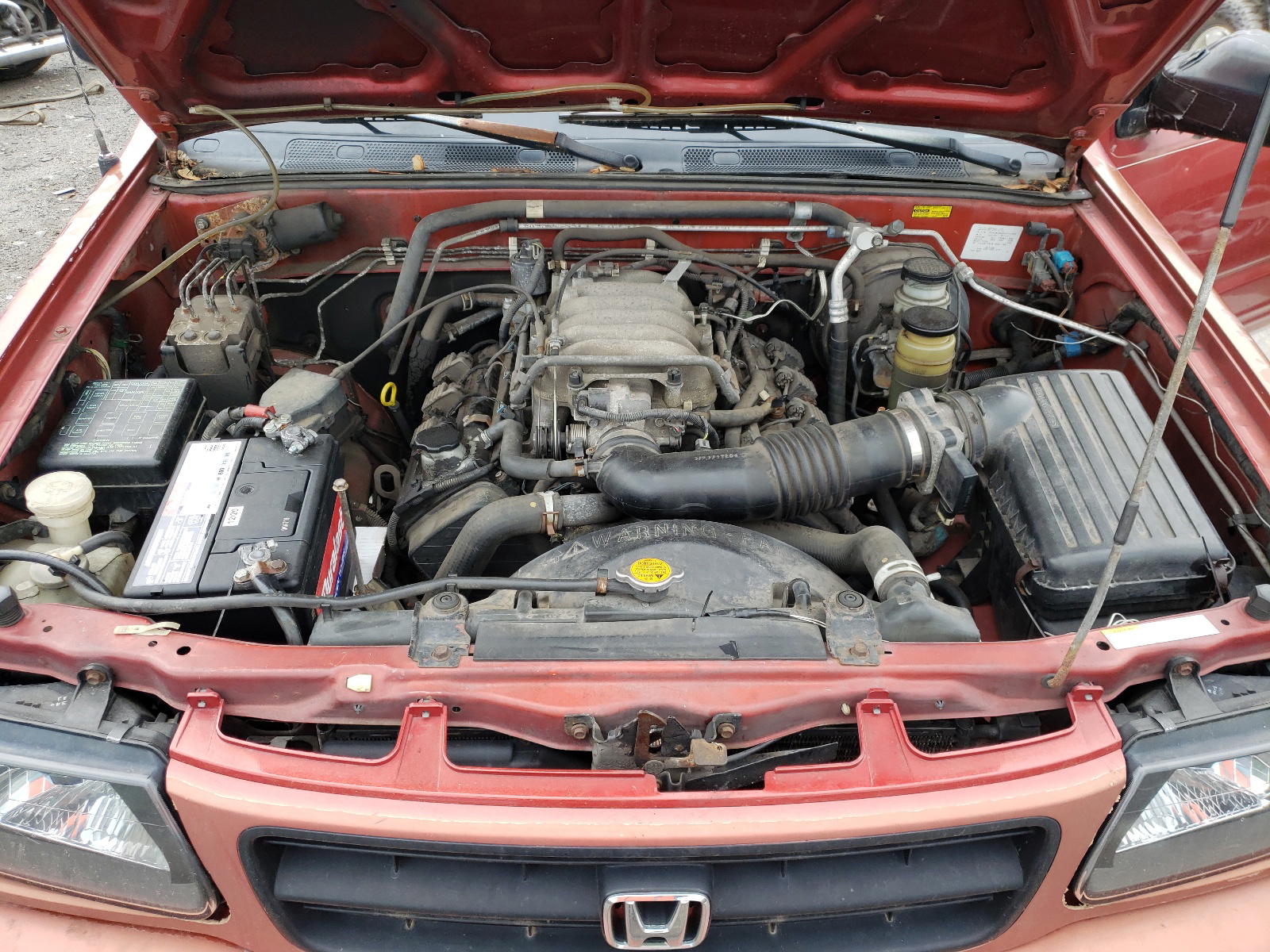 Photo 7 from auction – 1999 HONDA PASSPORT E with VIN 4S6CM58W2X4411753